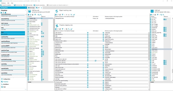 Figure 7: The ABAP connector provides deep-level attribute mapping, as well as the ability to map custom attributes.